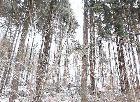 PL- Natur PL- Natur