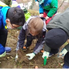 Bulbs4Kids – Blumenzwiebeln einpflanzen, Natur begreifen, Umwelt schützen Bulbs4Kids – Blumenzwiebeln einpflanzen, Natur begreifen, Umwelt schützen