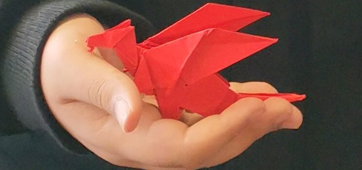 PL „Origami“